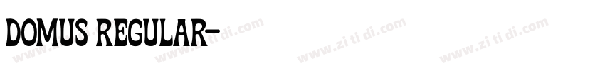 Domus Regular字体转换 Domus Regular字体转换
